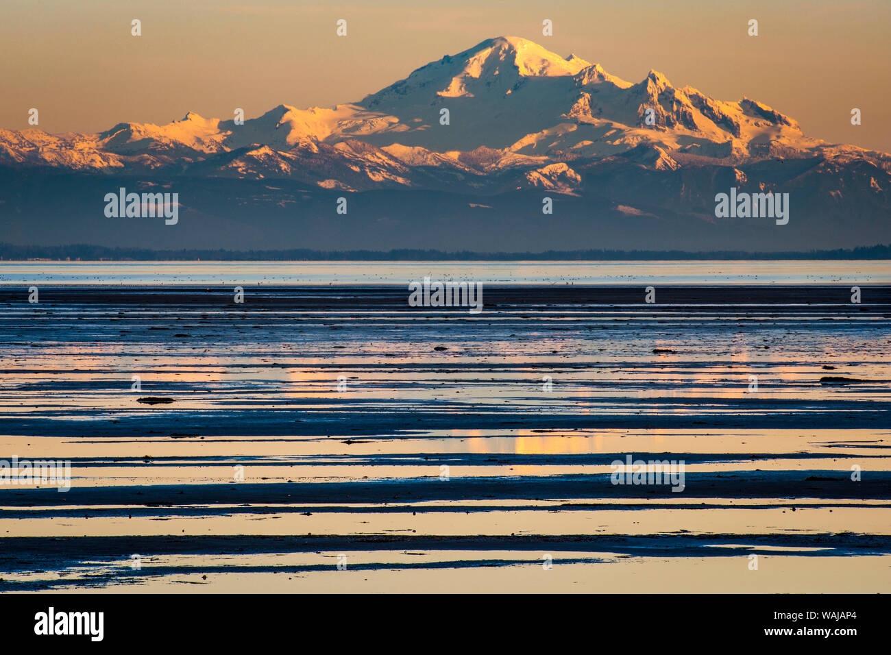 Canada, British Columbia. Boundary Bay, il Monte Baker dal litorale al tramonto. Foto Stock