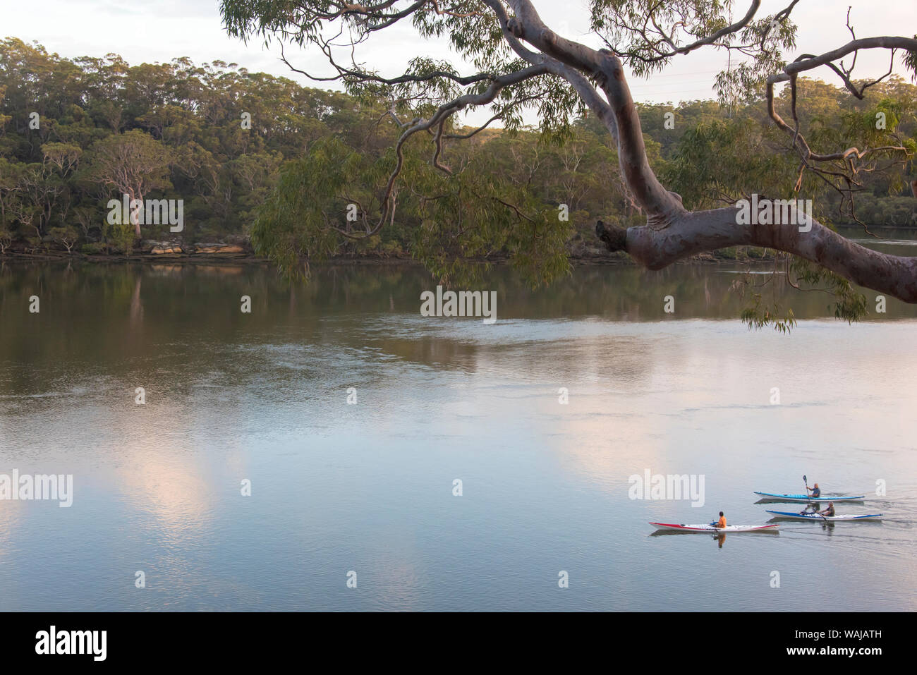 Australia, Nuovo Galles del Sud di Sydney. Kayakers sul tranquillo Fiume Georges Foto Stock