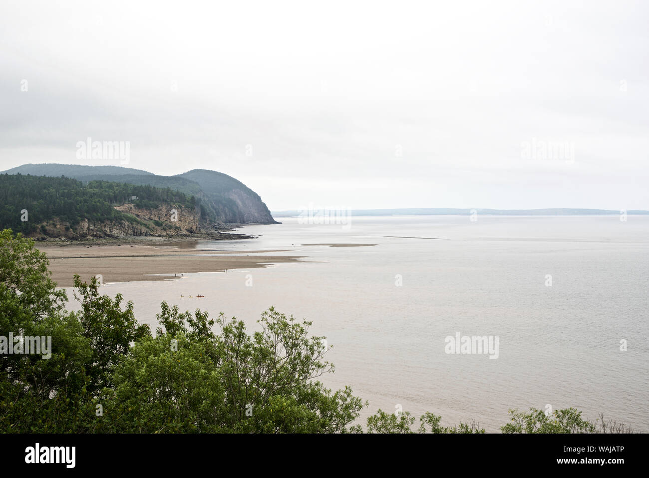 Canada, New Brunswick, Baia di Fundy National Park Foto Stock