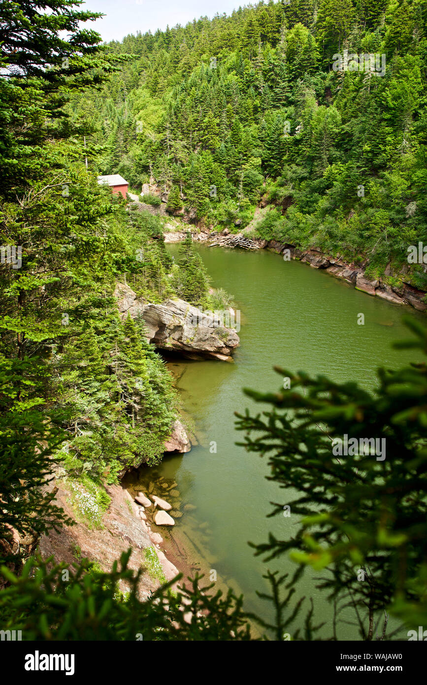 Canada, New Brunswick, Baia di Fundy National Park Foto Stock