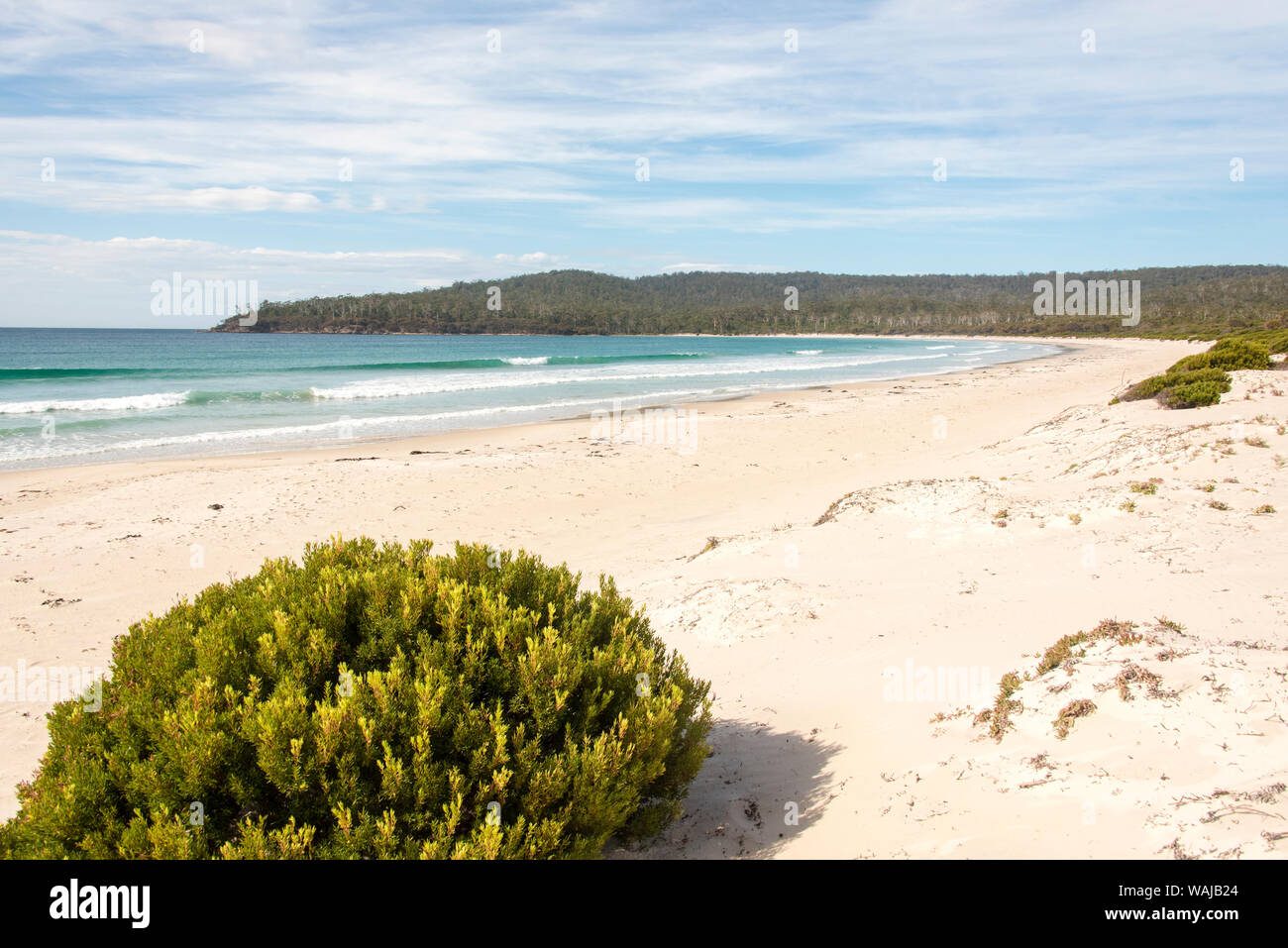Australia e Tasmania. Riedle Bay sul lato orientale di McRaes istmo, Maria Island Foto Stock