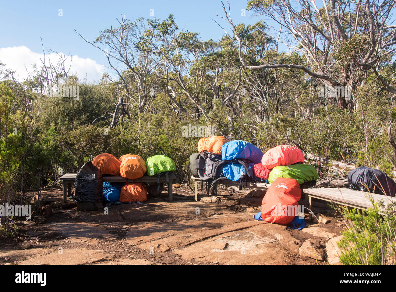 Australia e Tasmania, Tasman National Park. Tre promontori via. Gli escursionisti lasciando pack per Cape Hauy trail protetti da currawongs e meteo Foto Stock