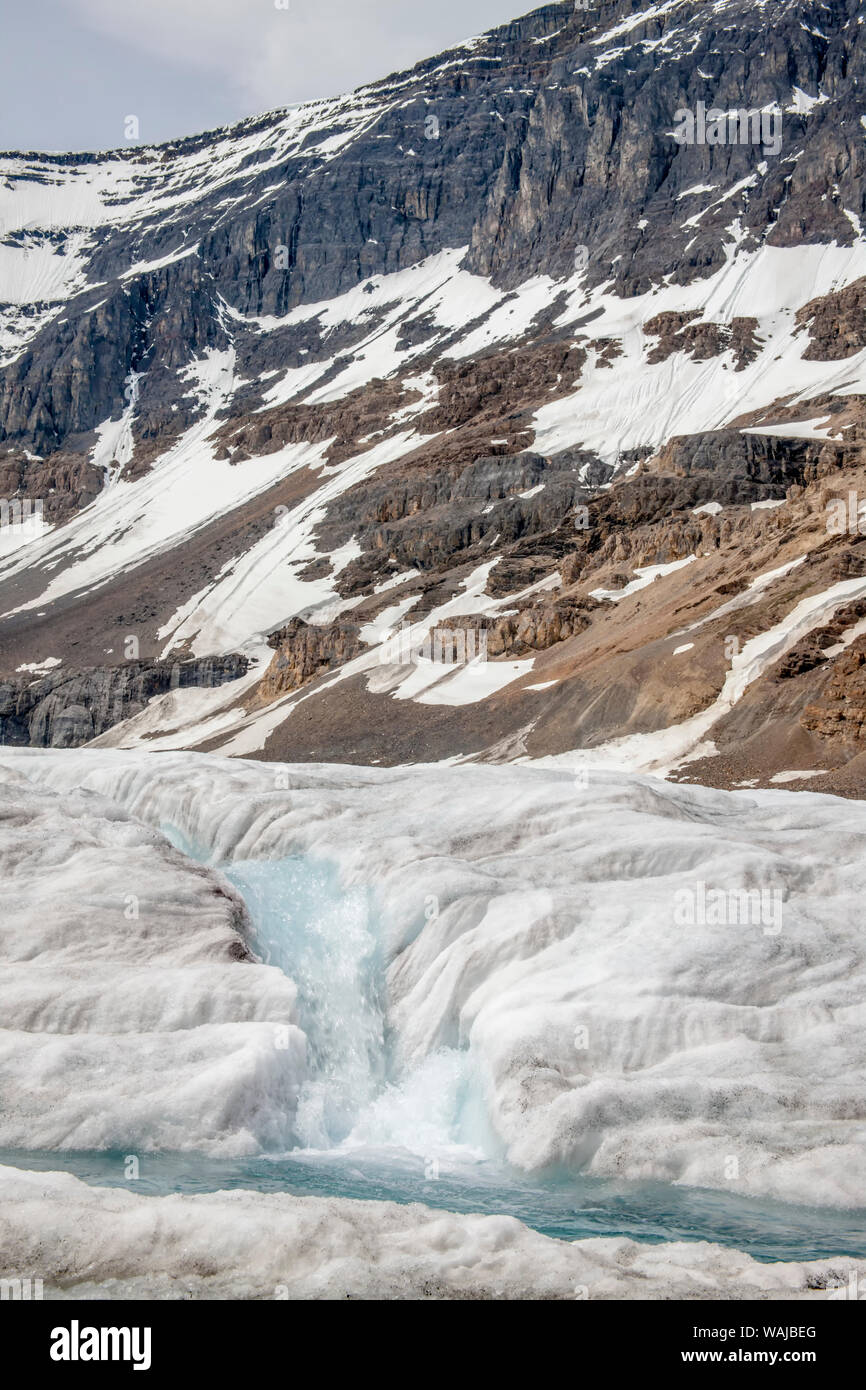 Parco Nazionale di Jasper, Alberta, Canada. Flussi di colore azzurro freddo glaciale di acqua che fluisce attraverso il ghiaccio sul Ghiacciaio Athabasca vicino all'Icefields Parkway. Foto Stock
