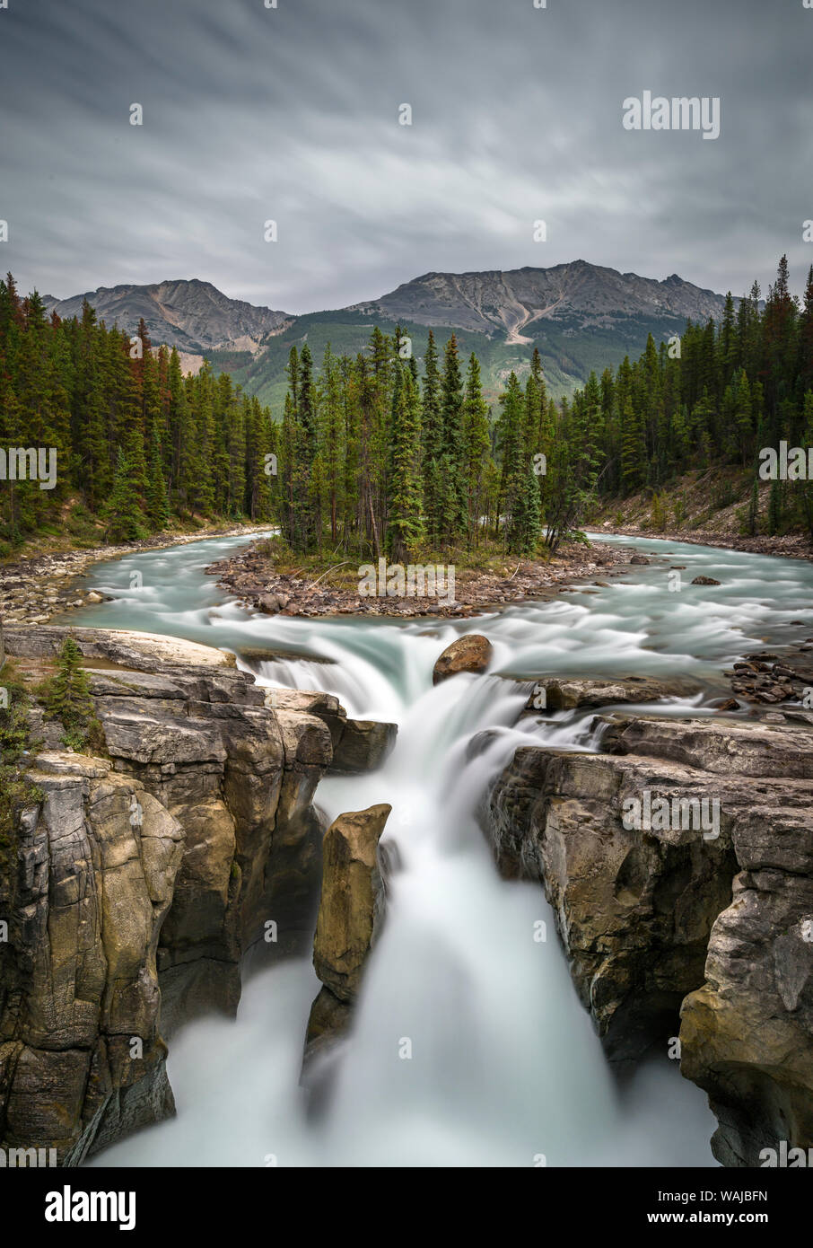 Canada, Alberta, Jasper National Park. Sunwapta Falls. Foto Stock