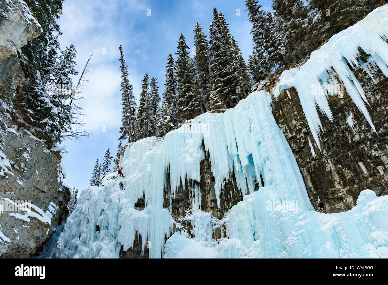 Canada, Alberta, Jasper. Uomo di arrampicata su ghiaccio nel Canyon Maligne. Foto Stock