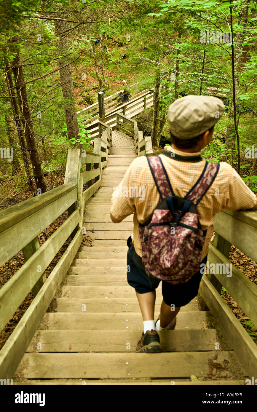 Canada, New Brunswick. Baia di Fundy National Park Foto Stock