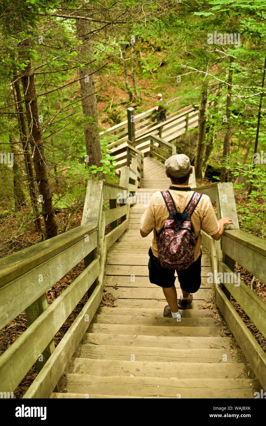 Canada, New Brunswick. Baia di Fundy National Park Foto Stock