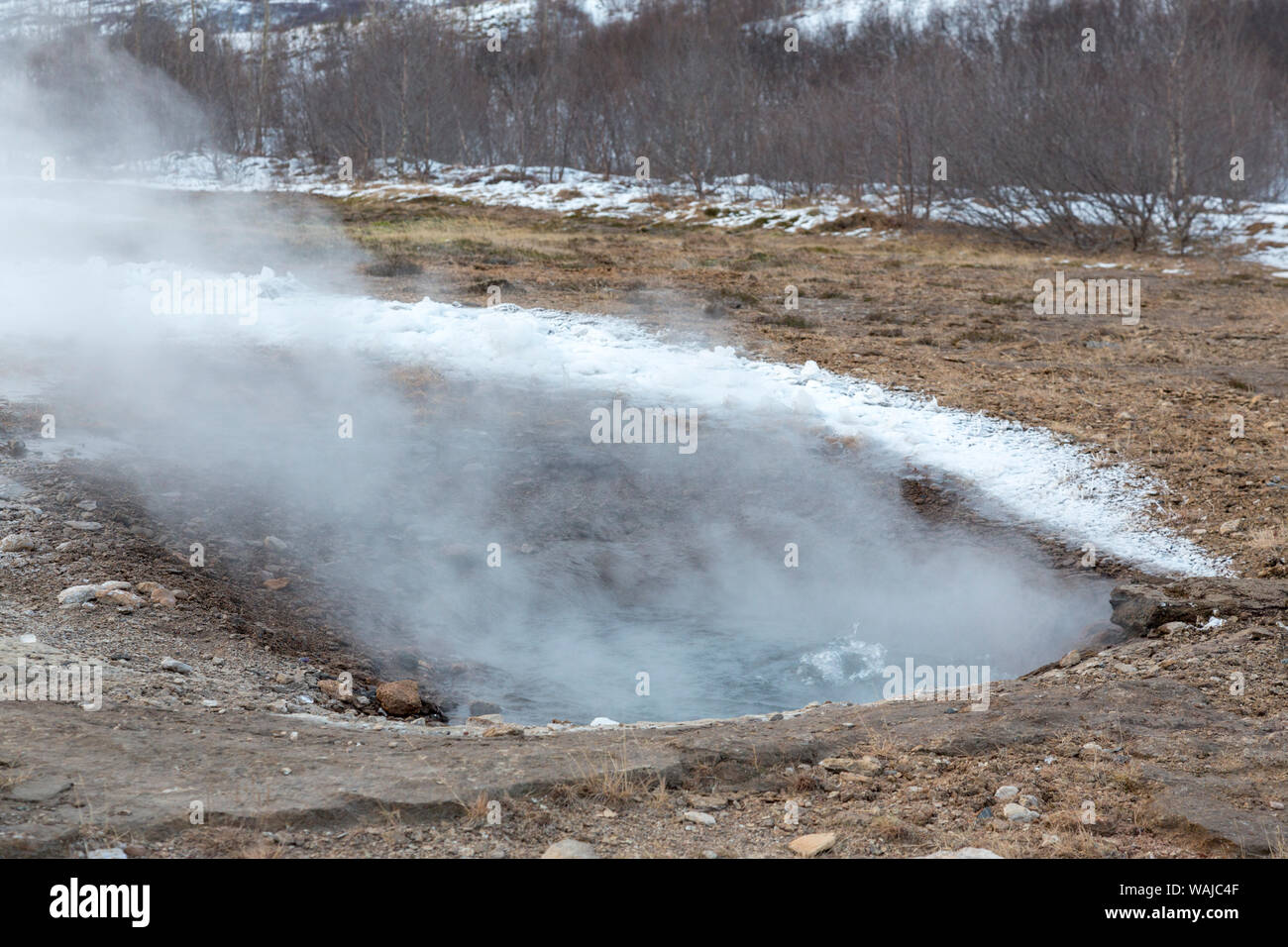 L'Islanda, Golden Circle, Geyser Hot Springs Area. Vapore e acqua bollente visto a poco Geyser d'inverno. Credito come: Wendy Kaveney Jaynes / Galleria / DanitaDelimont.com Foto Stock