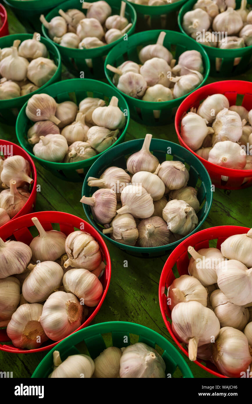 Canada Quebec, Montreal. Little Italy, Marche Jean Talon Mercato, spicchi di aglio Foto Stock