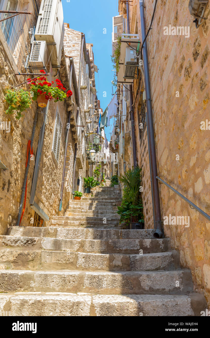 Croazia, Dubrovnik. New Scenic 5 posti le scale nella città murata. Credito come: Fred Signore Jaynes / Galleria / DanitaDelimont.com Foto Stock