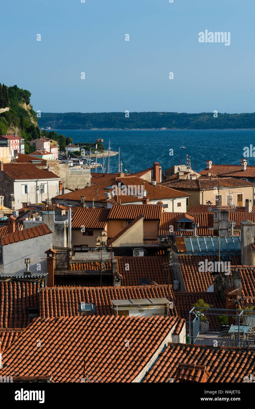 Tetti, pirano, Slovenia. Foto Stock