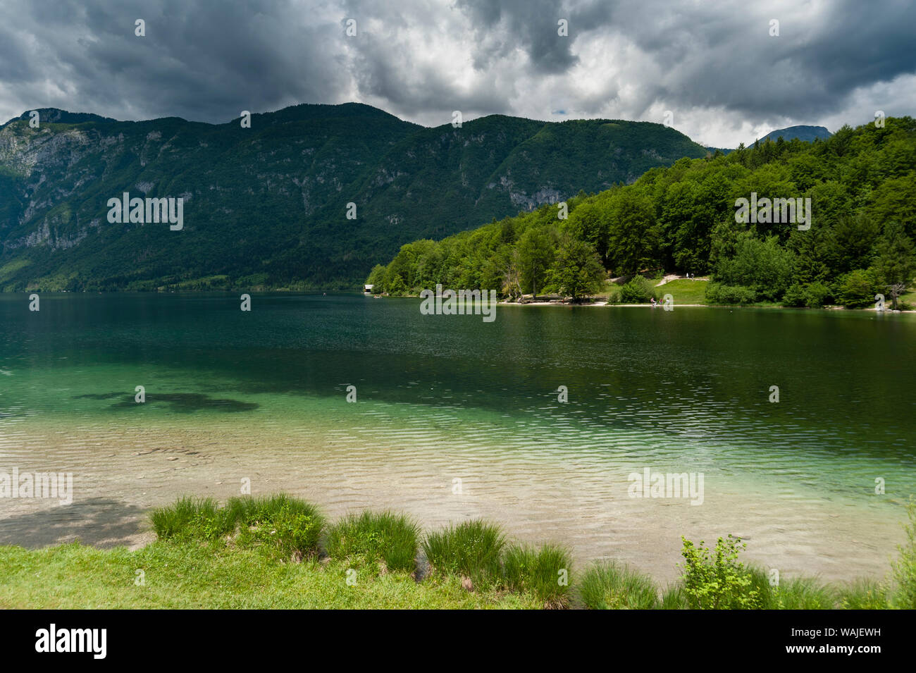 Vista sul lago di Bohinj, Slovenia. Foto Stock
