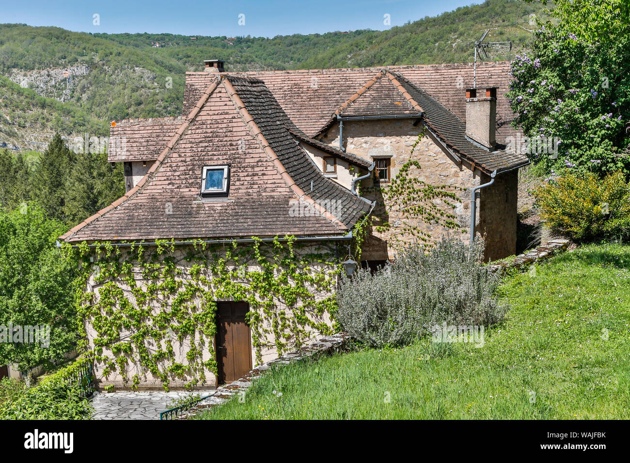 Francia, Calvignac. Vite-coperto casa di pietra. Foto Stock