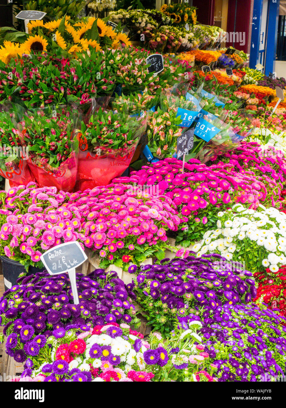 Il mercato dei fiori di Rue Cler, Parigi Foto Stock