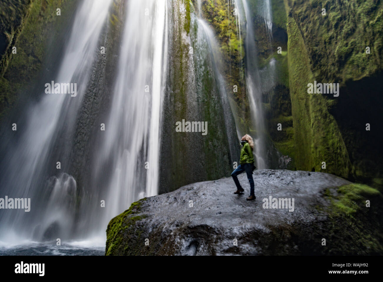 L'Islanda, Seljalandsfoss, donna in piedi sulla roccia di grandi dimensioni nella parte anteriore di streaming cade nella slot verde canyon. (MR) Foto Stock