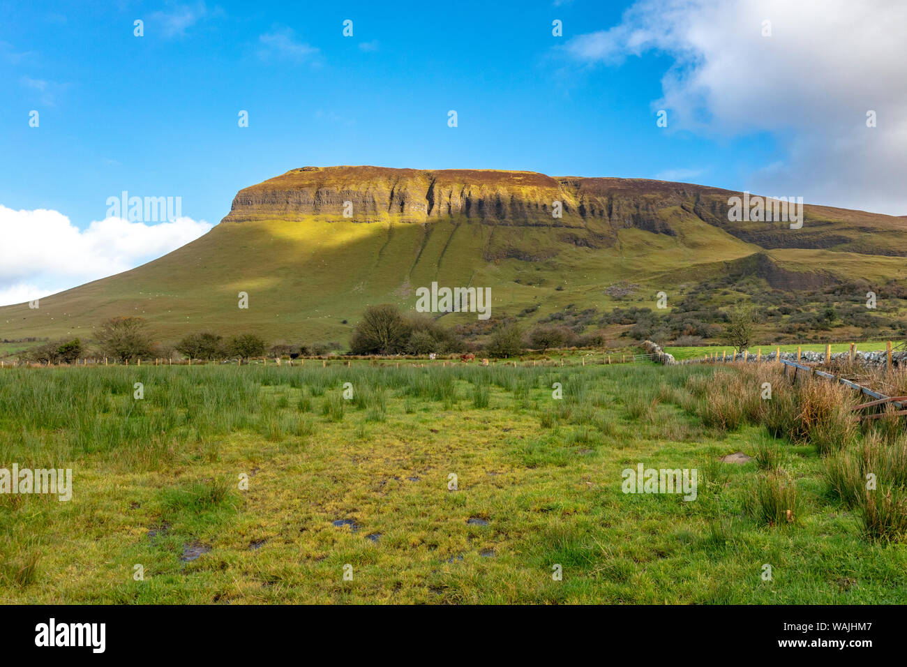 Pascoli sotto Benbulben montagna vicino a Sligo, Irlanda Foto Stock
