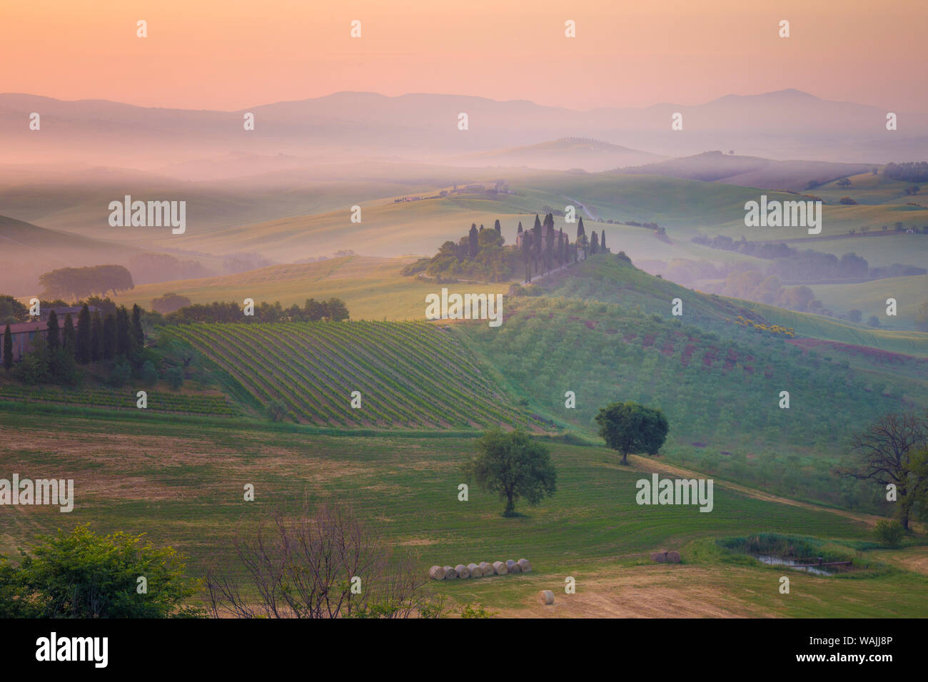 L'Italia, Toscana, Val d' Orcia. La Fattoria Belvedere a sunrise. Credito come: Jim Nilsen Jaynes / Galleria / DanitaDelimont.com Foto Stock