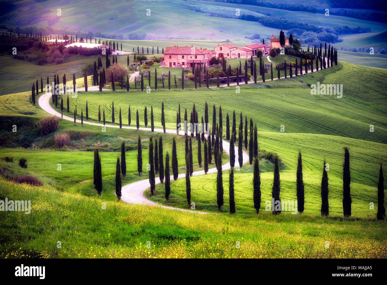 L'Italia, Toscana, Val d'Orcia. Paesaggio di fattoria. Credito come: Jim Nilsen Jaynes / Galleria / DanitaDelimont.com Foto Stock