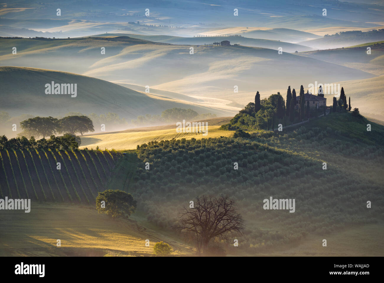 L'Italia, Toscana, Val d' Orcia. La Fattoria Belvedere a sunrise. Credito come: Jim Nilsen Jaynes / Galleria / DanitaDelimont.com Foto Stock