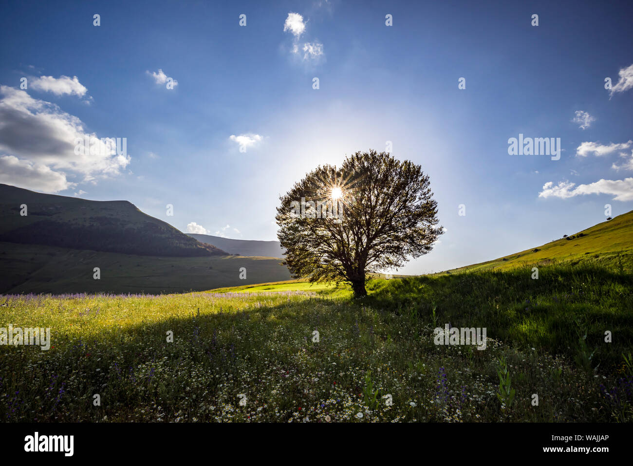 L'Italia, Castelluccio, pianoforte Grande. Struttura retroilluminata al tramonto. Credito come: Jim Nilsen Jaynes / Galleria / DanitaDelimont.com Foto Stock