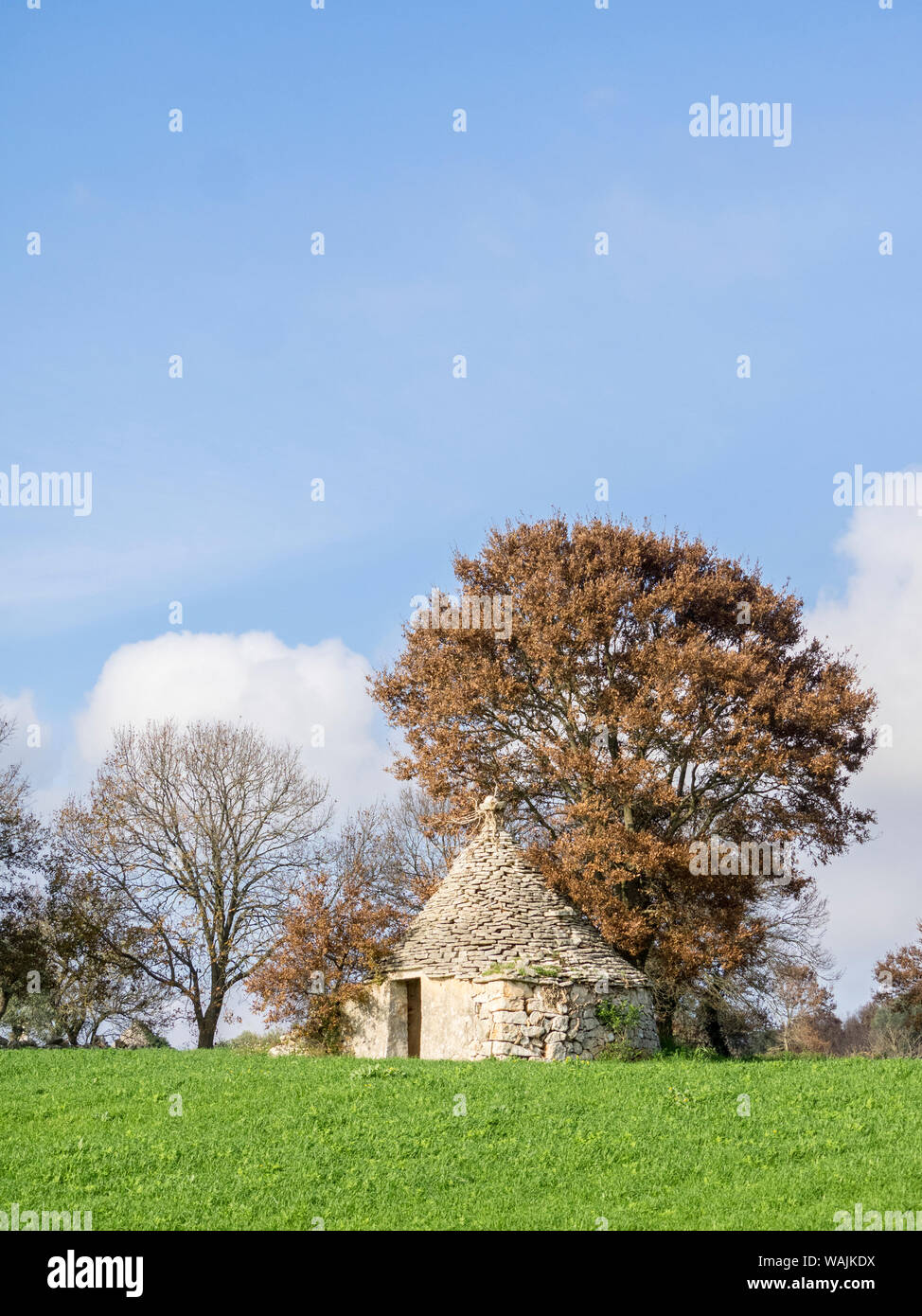 L'Italia, Alberobello. Una tipica casa trulli con la sua forma conica di tetti. Foto Stock