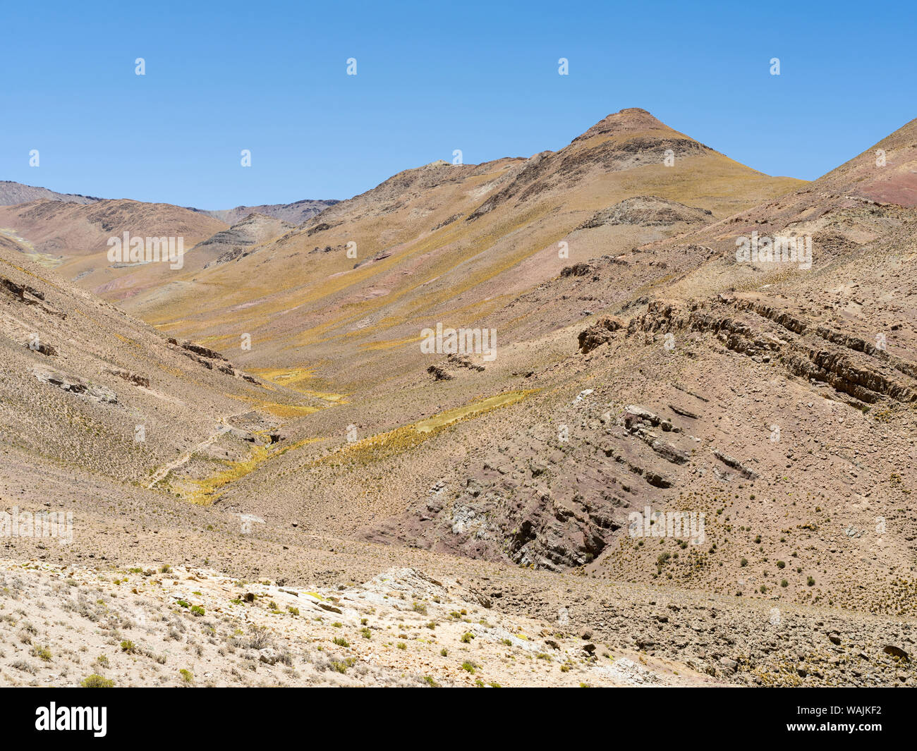L'Altiplano in Argentina, paesaggio lungo la RN 40 vicino Abra del Acay (4895m) mountain pass. Foto Stock
