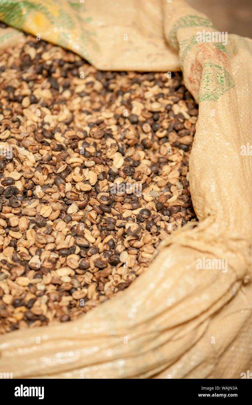 Vulcano Poas area, Costa Rica. Sacchetto di semi di caffè. Foto Stock