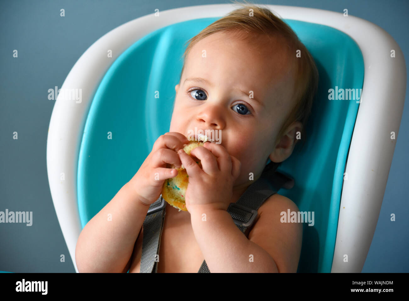 1 anno vecchio ragazzo mangiare tortina di compleanno (MR) Foto Stock