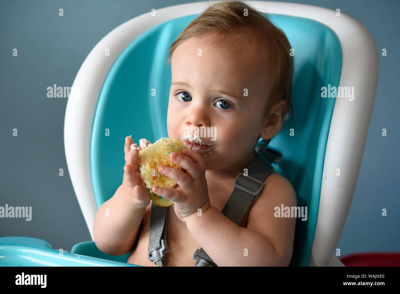 1 anno vecchio ragazzo mangiare tortina di compleanno (MR) Foto Stock