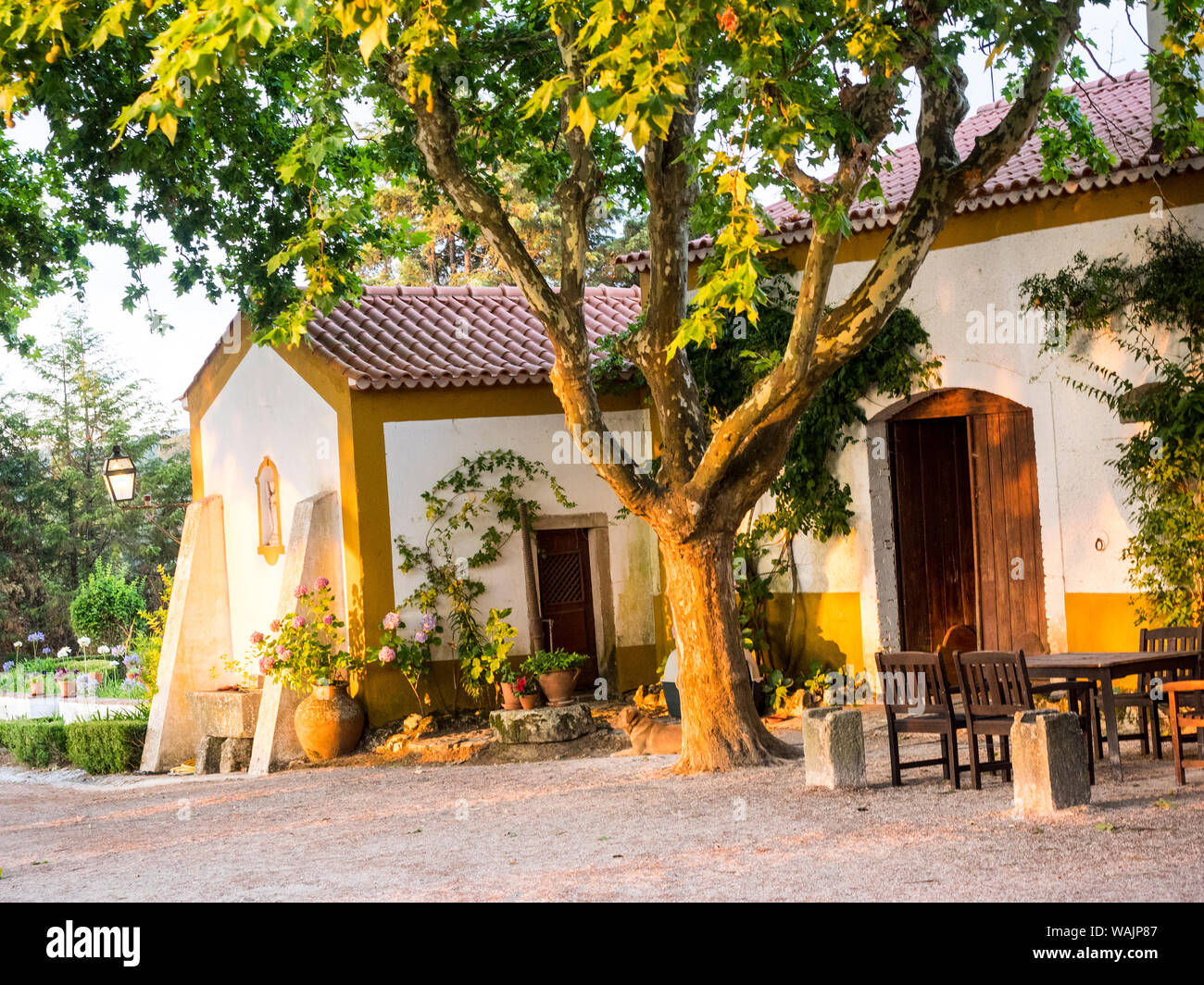 Il Portogallo, Tomar. Tipica villa portoghese Foto Stock
