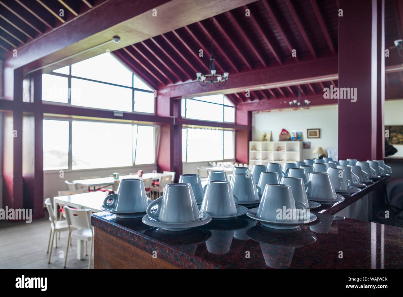 Portogallo Azzorre, isola Sao Miguel. Gorreana la piantagione di tè, uno degli ultimi produttori di tè in Europa, tea factory sala degustazione Foto Stock