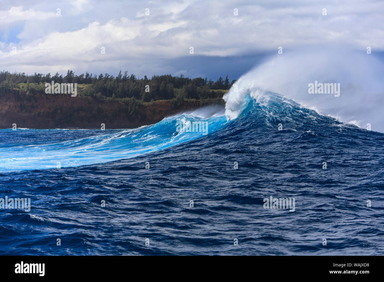Giant Wave si rompe vicino al 'Griffe' Maui North Shore, Hawaii, STATI UNITI D'AMERICA Foto Stock