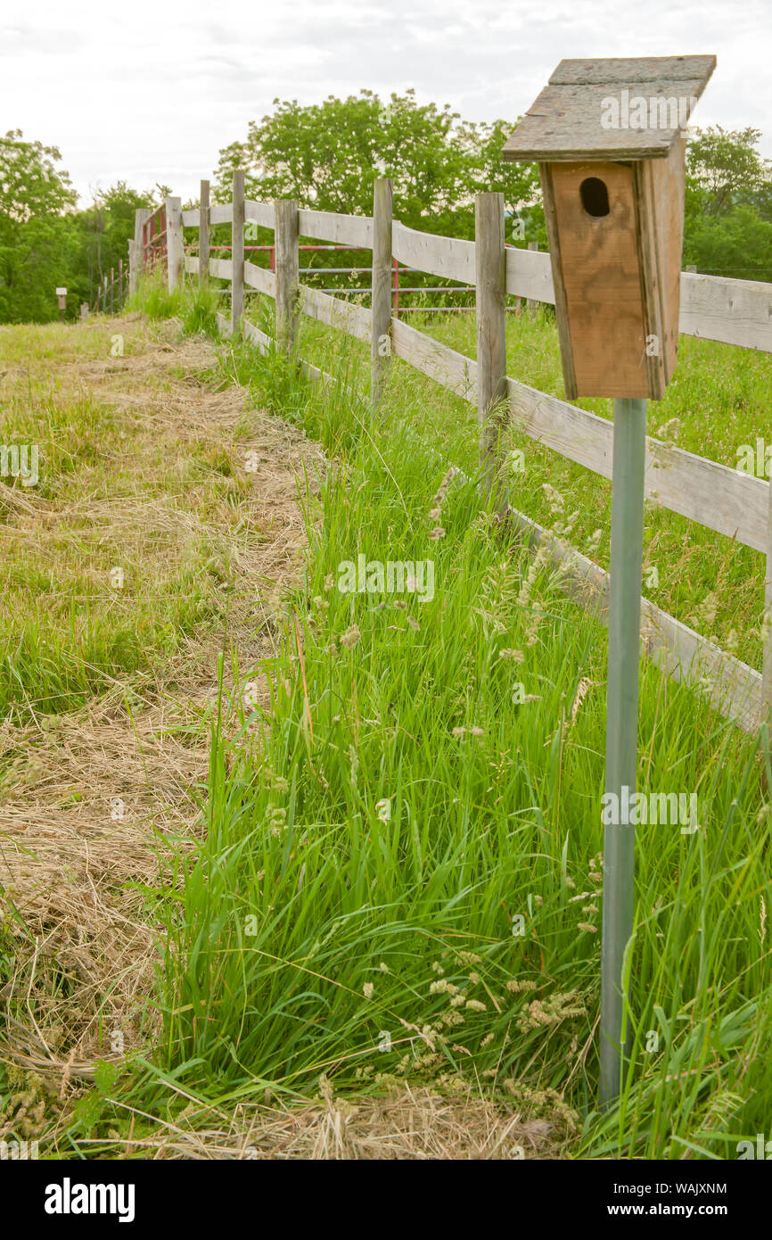 La Galena, Illinois, Stati Uniti d'America. Bluebird casa accanto alla recinzione in taglio ed essiccazione di frutteto di erba, erba medica mix campo di fieno . Foto Stock
