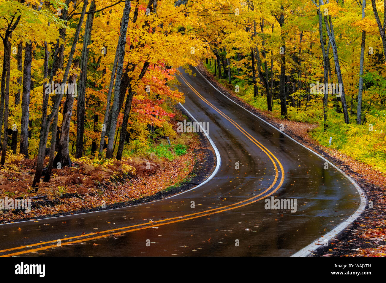 Autostrada 41 ricoperto carreggiata in autunno nei pressi del porto di rame nella Penisola Superiore del Michigan, Stati Uniti d'America Foto Stock