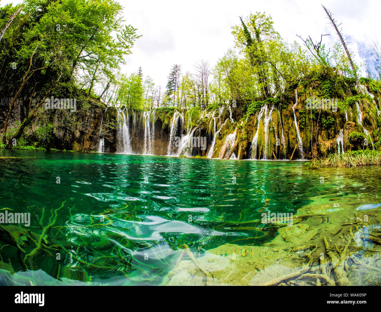 La Croazia. Il Parco Nazionale dei Laghi di Plitvice, alle cascate del Parco Nazionale dei laghi di Plitvice Foto Stock