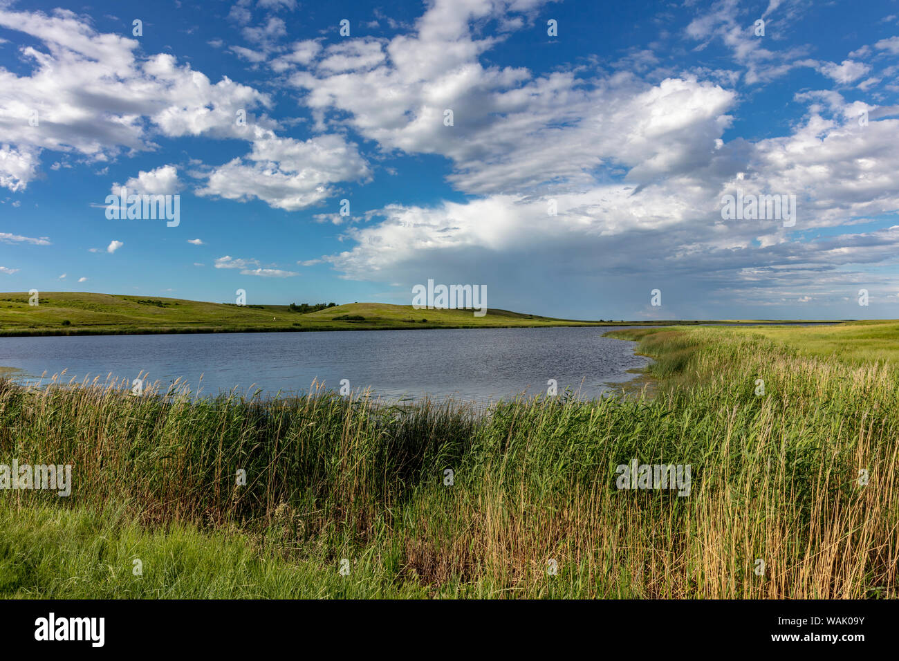 Medicina Lake National Wildlife Refuge, Montana, USA Foto Stock