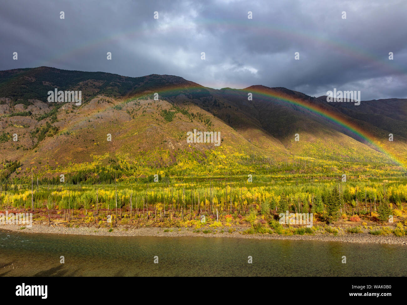 Rainbow sulla forcella del nord del fiume Flathead ad inizio autunno nel Parco Nazionale di Glacier, Montana, USA Foto Stock