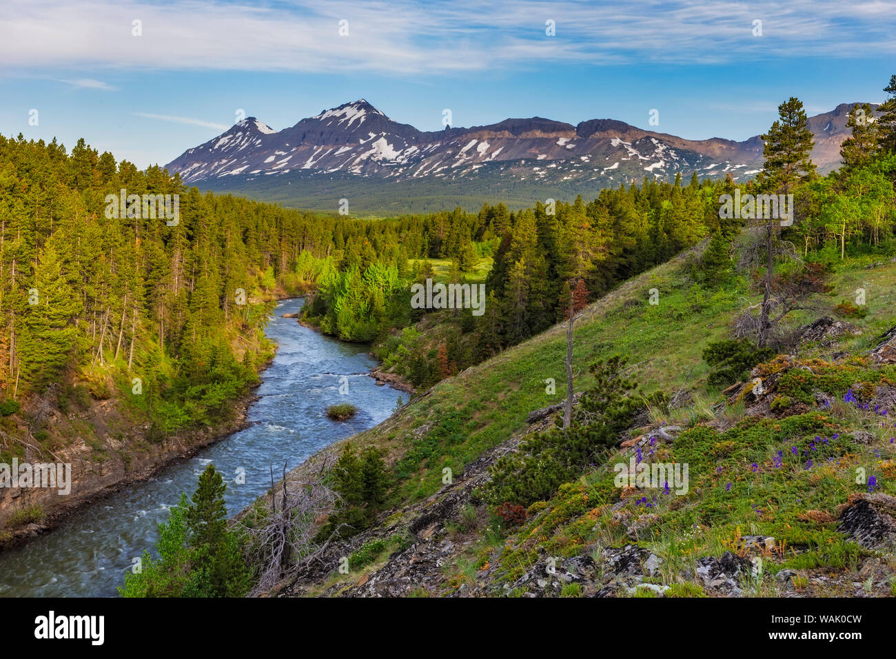 La forcella del sud della medicina due nel fiume di Lewis e Clark National Forest, Montana, USA Foto Stock