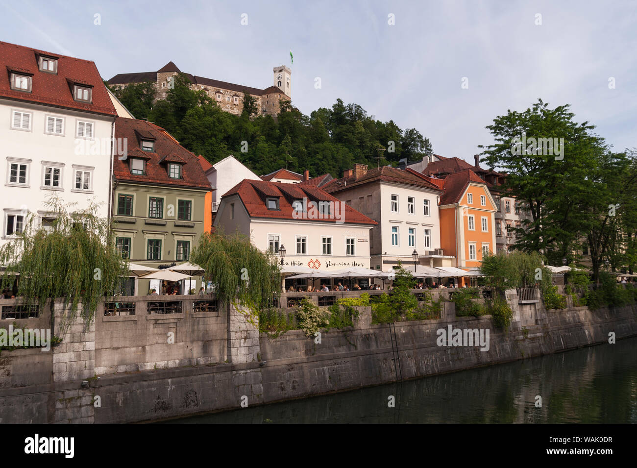 Il castello e gli edifici lungo il fiume Ljubljanica, Lubiana, Slovenia. Foto Stock