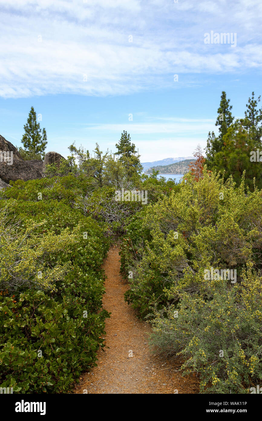 Un sentiero stretto a Logan sciami Vista, Zephyr Cove, Lake Tahoe, Nevada, Stati Uniti d'America Foto Stock