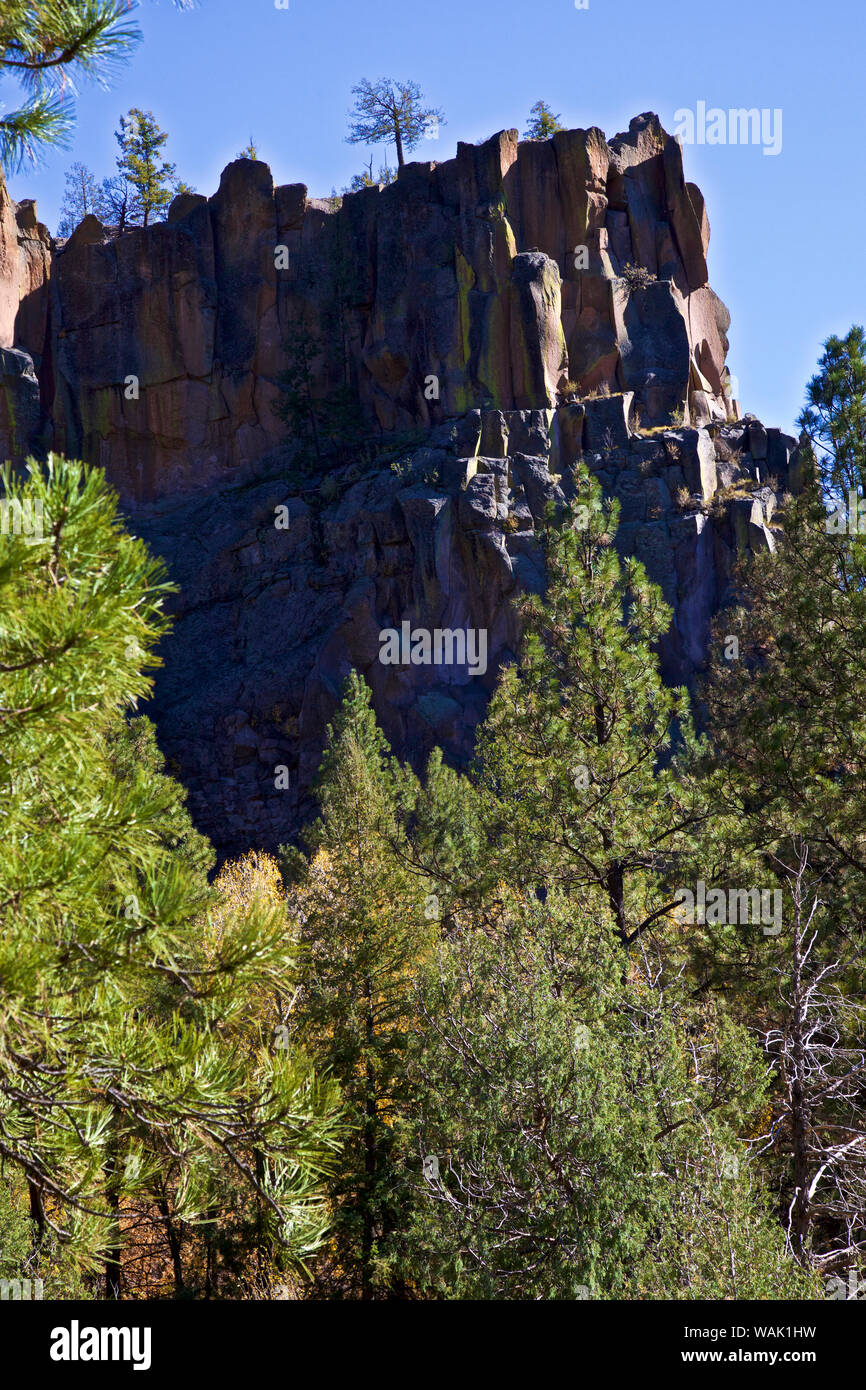 Stati Uniti d'America, Nuovo Messico. Jemez Montagne in autunno Foto Stock