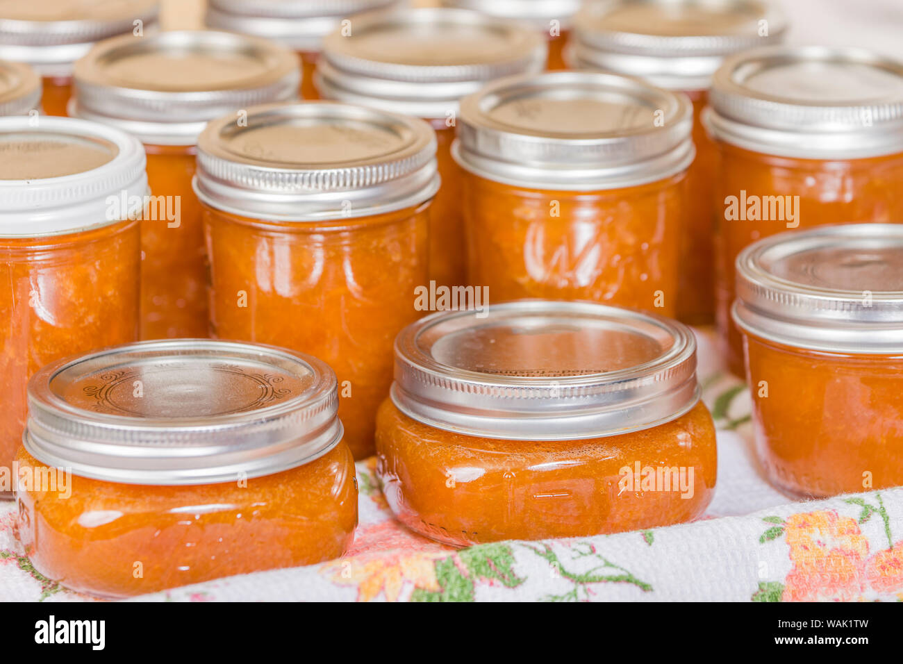 Vasi di fresca di marmellata di albicocche fatta in casa il raffreddamento su un canovaccio. Foto Stock