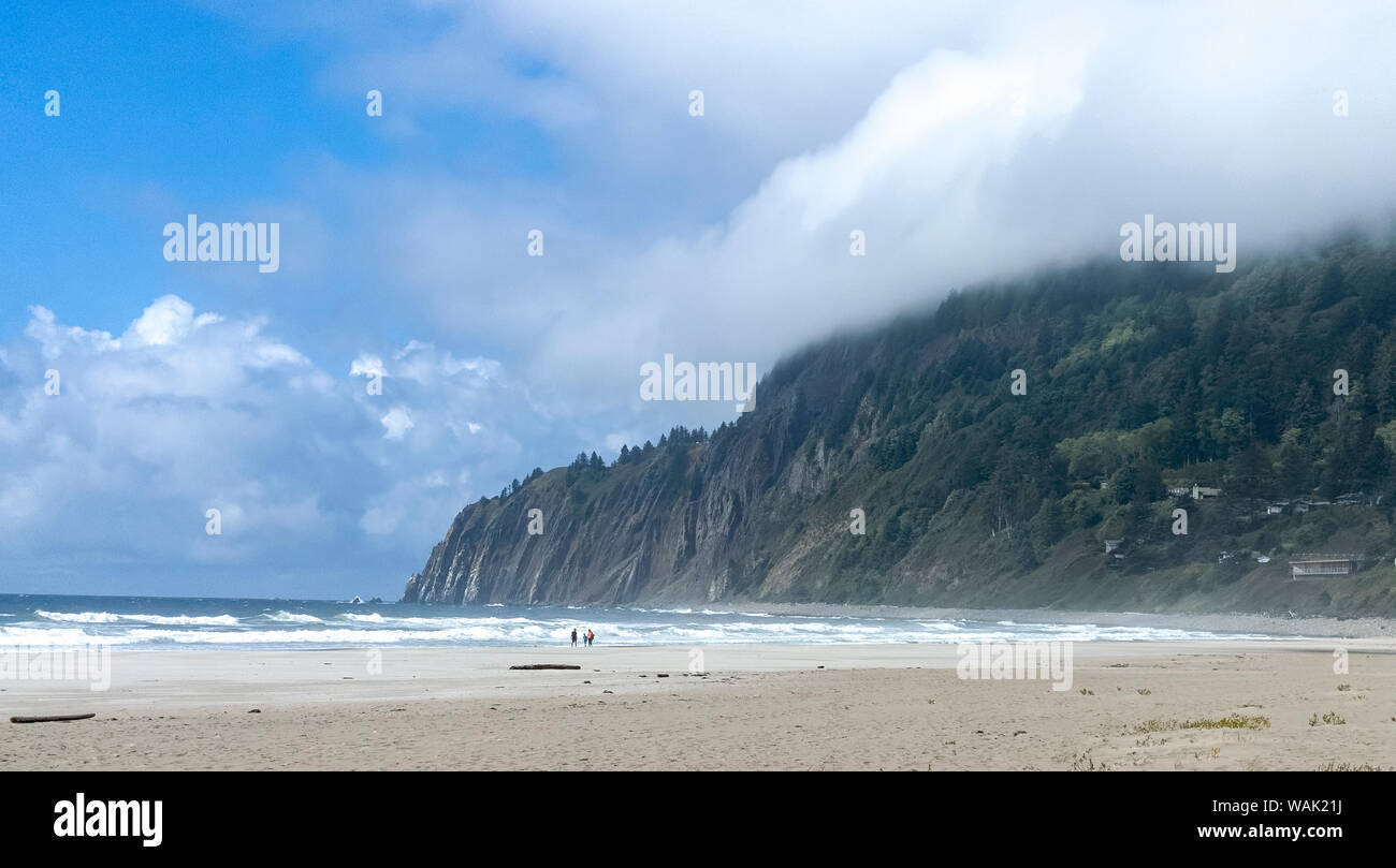 Stati Uniti d'America, Oregon, Manzanita. Spiaggia e scogliera panoramica. Credito come: Wendy Kaveney Jaynes / Galleria / DanitaDelimont.com Foto Stock