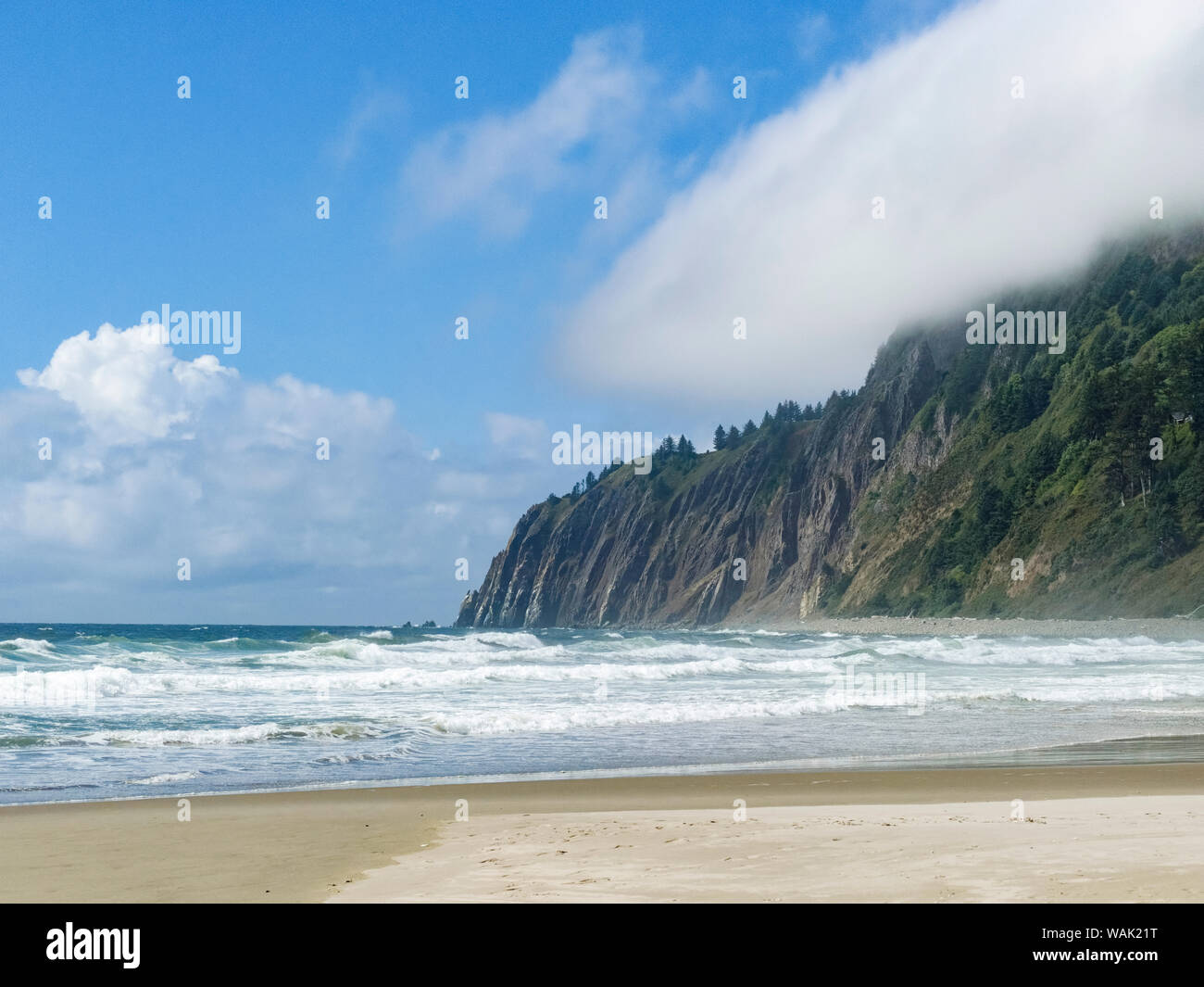 Stati Uniti d'America, Oregon, Manzanita. Spiaggia paesaggio. Credito come: Wendy Kaveney Jaynes / Galleria / DanitaDelimont.com Foto Stock