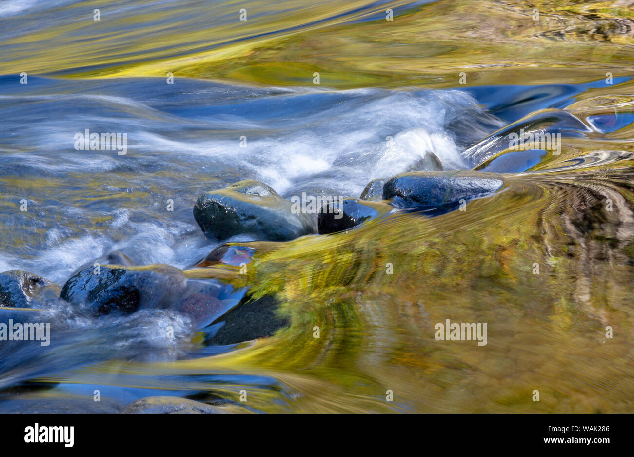 Stati Uniti d'America, Oregon. Abstract di autunno colori riflessi nel fiume Wilson rapids. Credito come: Wendy Kaveney Jaynes / Galleria / DanitaDelimont.com Foto Stock
