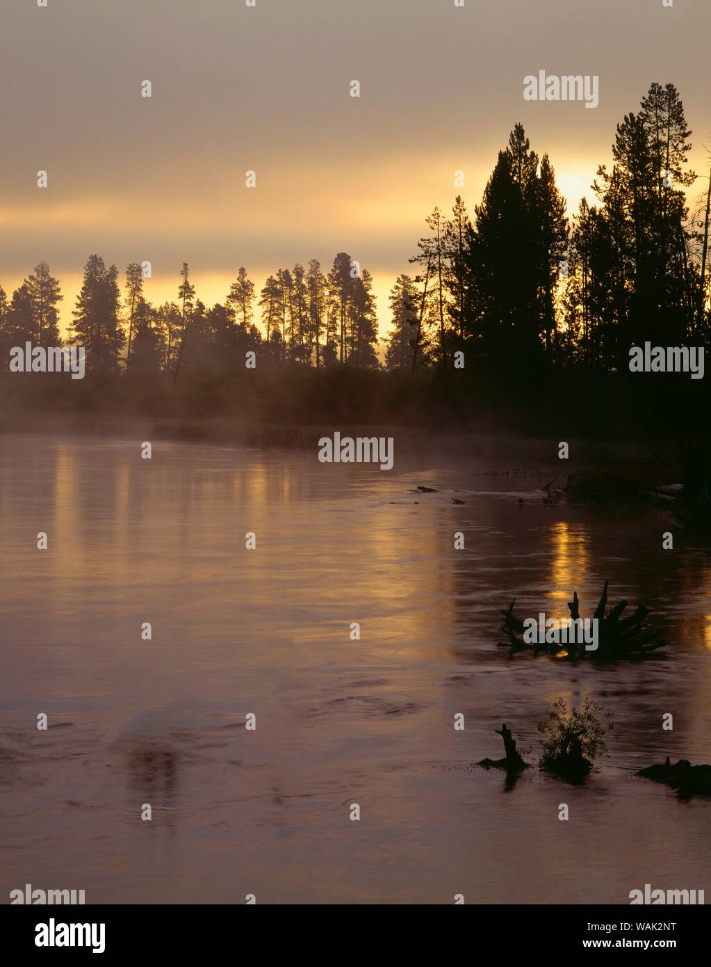 Stati Uniti d'America, Oregon, Deschutes National Forest. La nebbia aleggia sopra il fiume Deschutes a sunrise. Foto Stock