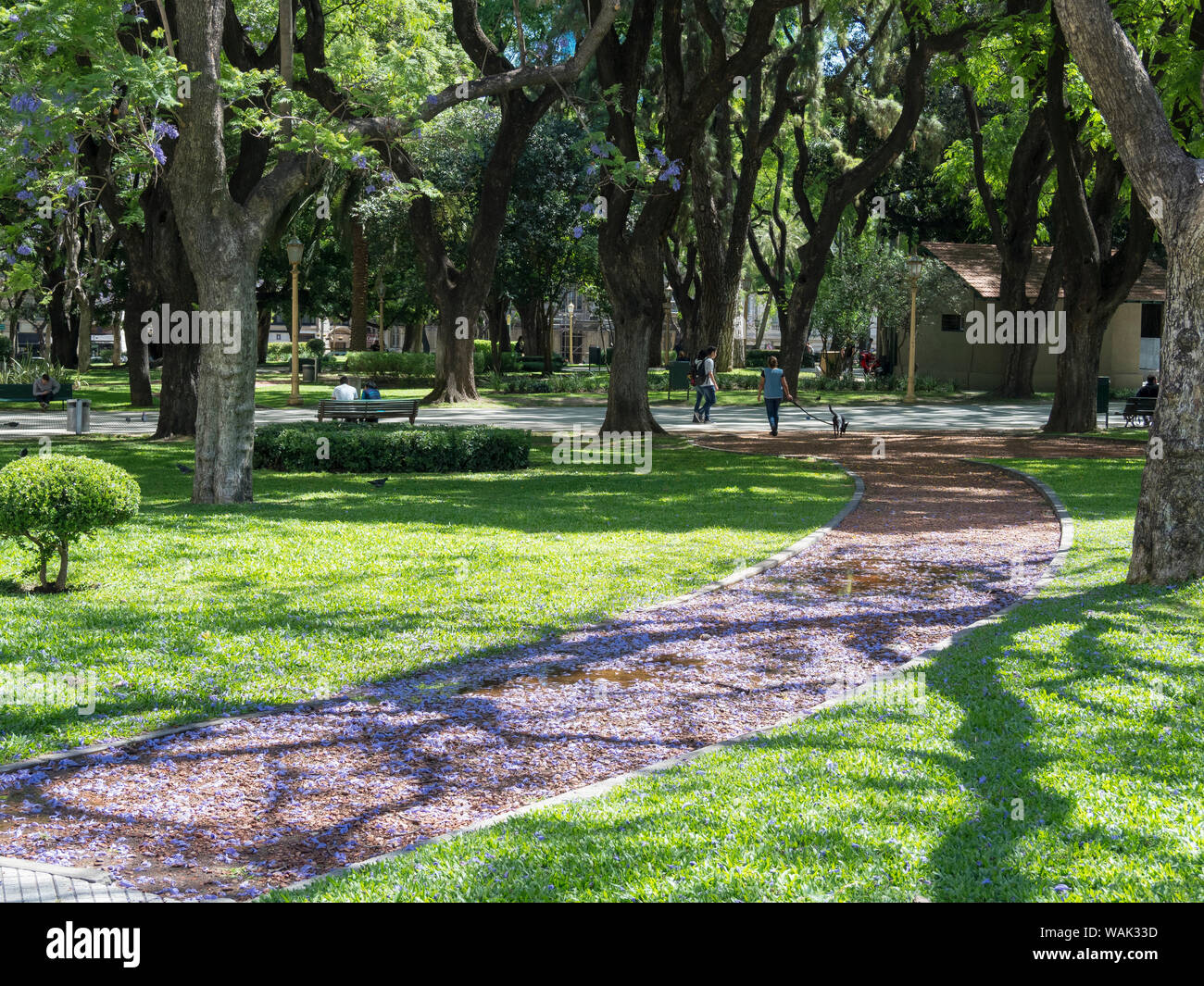 Retiro, Plaza San Martin park. Buenos Aires, Argentina. Foto Stock