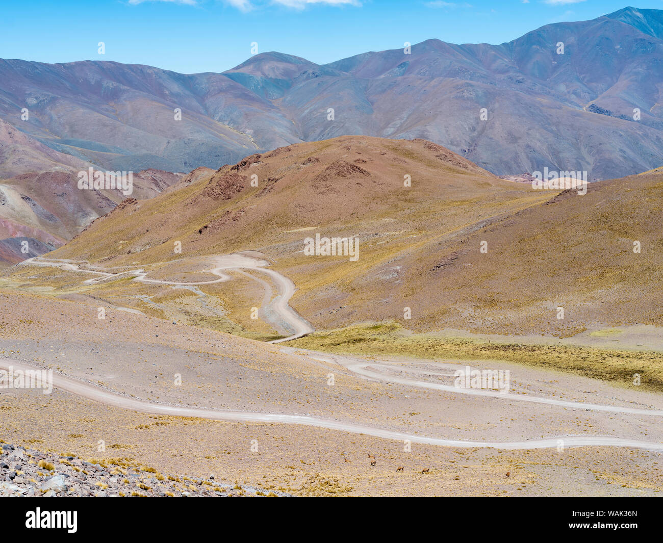 Routa 40 salendo fino a Abra del Acay (4895m), uno dei più alti strade regolari nel mondo. L'Altiplano, Argentina. Foto Stock