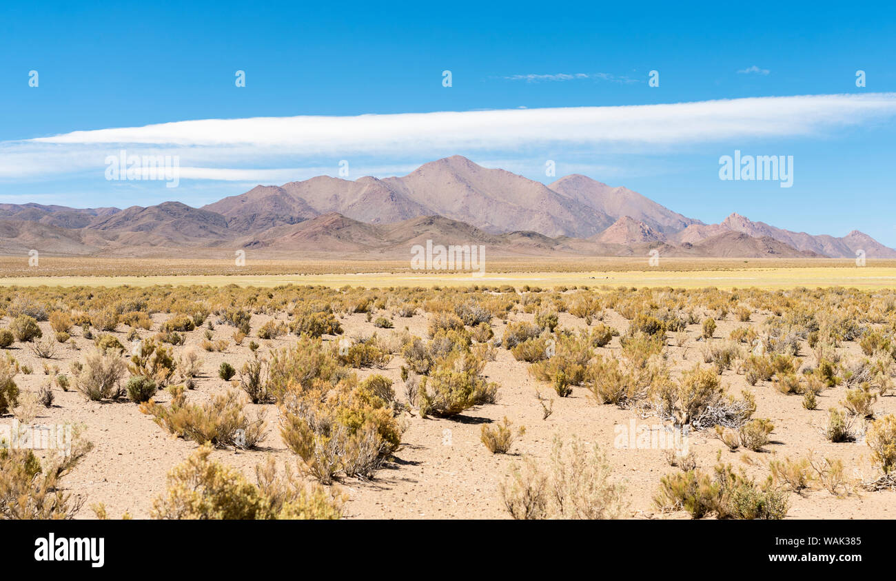 Il paesaggio nei pressi di saline Salinas Grandes nel Altiplano, Argentina. Foto Stock