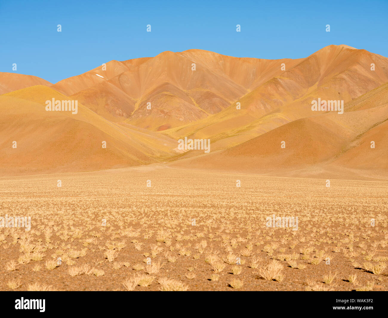 Le montagne del Altiplano, nei pressi del villaggio di Tolar Grande, vicino al confine del Cile. Sud America, Argentina Foto Stock